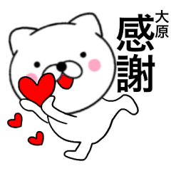 Name cat Oohara2