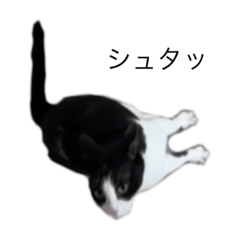 seira_20220522182059