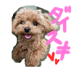 Hana_20220522195327