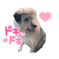 matsu_20220522213738