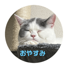 kii_20220522220204