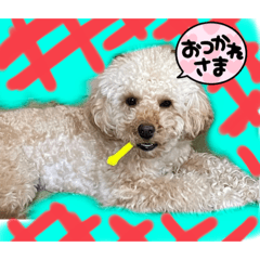 t-ace _20220522220128