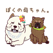 2020Tukiyomi kanon_20220522164342