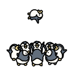 ▶︎動く！小さいペンギンがいっぱい