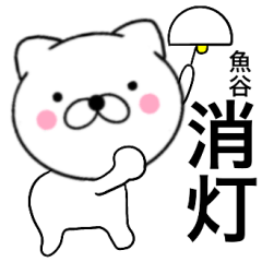 Name cat Uotani