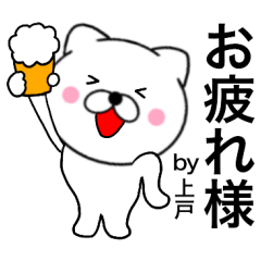 Name cat Ueto2