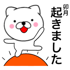 Name cat Uduki
