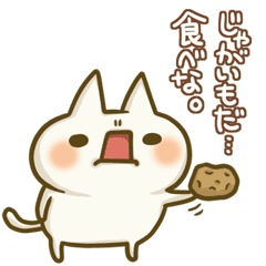 2ちゃんねる ぬこ 2ちゃんねる ぬこ