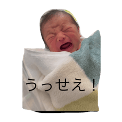 akari_20220522231346