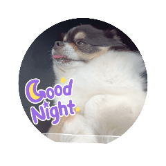 SHIHO_20220522172216