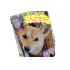 yamazaki_20220523094145