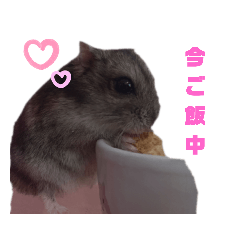 SHIHO_20220523072358