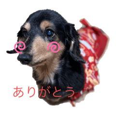 michiko_20220522234616