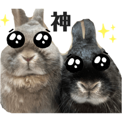 pinochan&mintkundayo