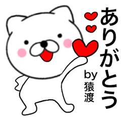 Name cat Saruwatari