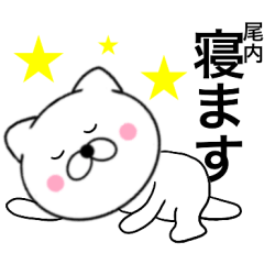 Name cat Outi