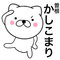 Name cat Sone