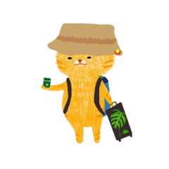 Orange Cat everyday 2022