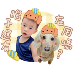 恩迪豆萌萌日常