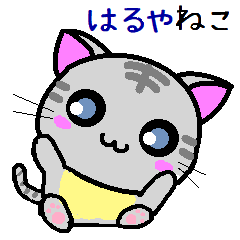 Haruya cat