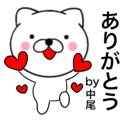 Name cat Nakao2