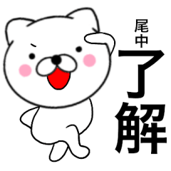 Name cat Onaka