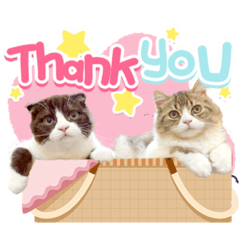 Iamnook_20220523005019