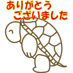 Tortoise greeting 01