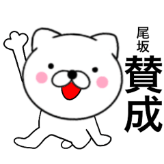 Name cat Osaka