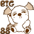 【Big】シーズー犬88『Big シーズー』