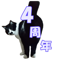 Kisarazu Cat CHOBISUKE _04