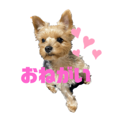 KAORI_20220522235155