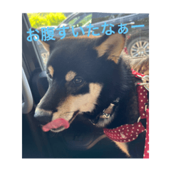 ak_20220523084331