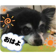 Mizuki_20220523162714