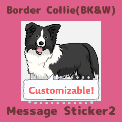 Border Collie(BK&W) - msg(en) 2