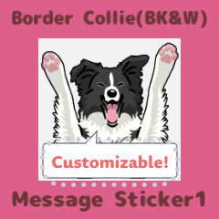 Border Collie(BK&W) - msg(en) 1