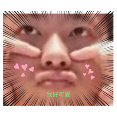 小睿睿の表情包