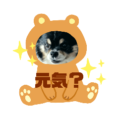 SHIHO_20220523175549