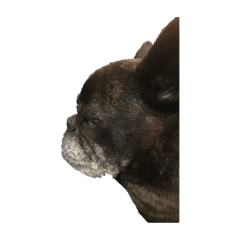 S.S_20220523175846