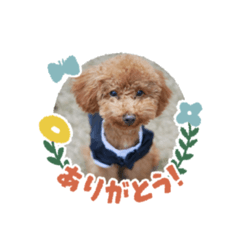 shiho_20220523224446