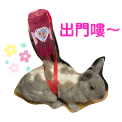 拉拉&屋屋