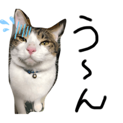 mizuki_20220523232116