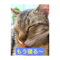 akko_20220523220310