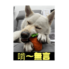 娜娜❤️三兄妹日常1