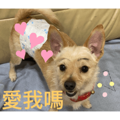 臭美香腸