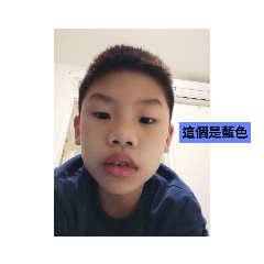 賴俊安這個是藍色OK笑哭了