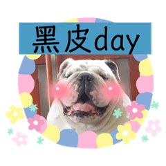 阿諾與芋仔饅頭