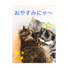 niiru&bibi_20220524130459