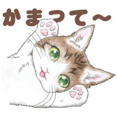 Cute cat sticker(colored pencil)