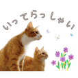 【にゃん語で会話】猫好きさん用スタンプ③